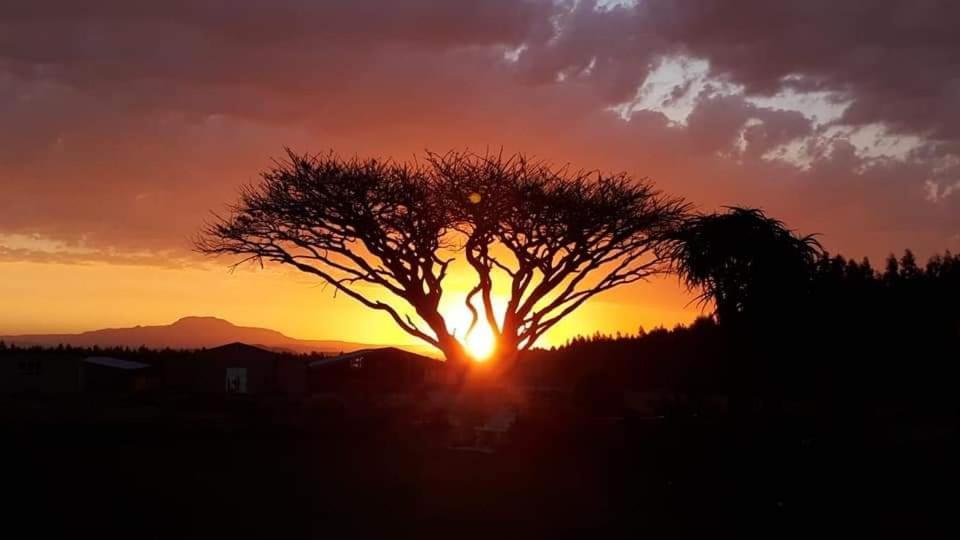 Forest Hill Country Lodge بيت ريتيف المظهر الخارجي الصورة