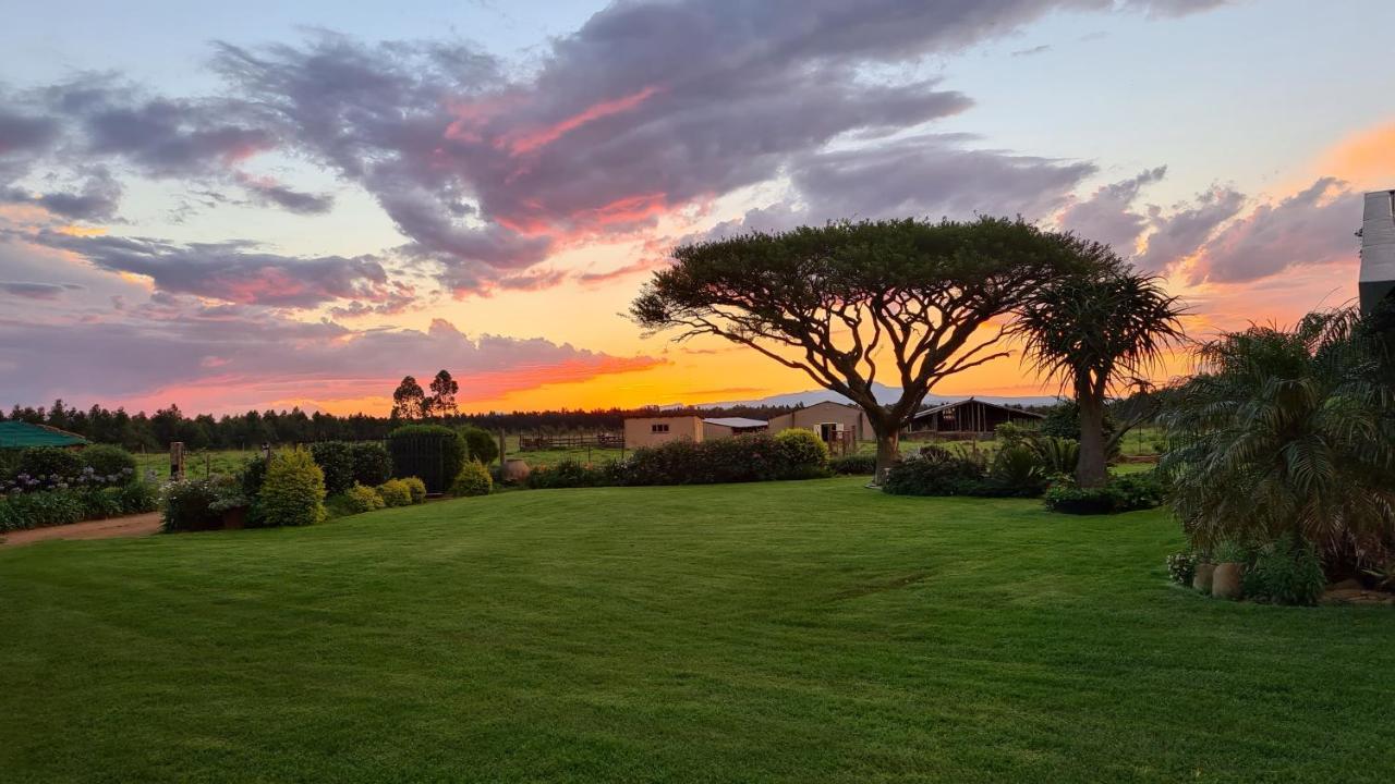 Forest Hill Country Lodge بيت ريتيف المظهر الخارجي الصورة